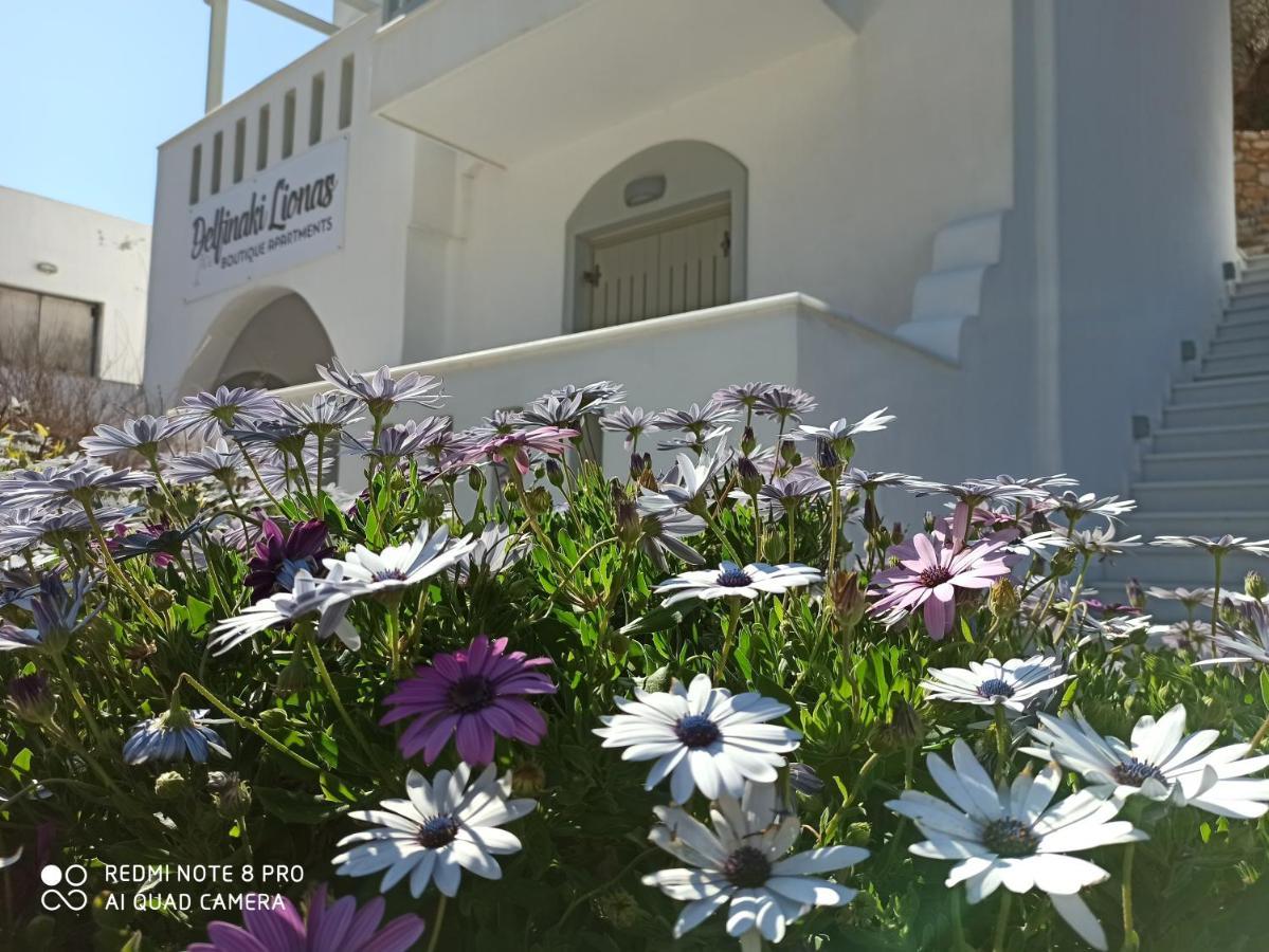 Villa Delfinaki Lionas מראה חיצוני תמונה