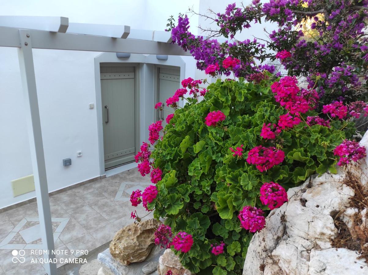 Villa Delfinaki Lionas מראה חיצוני תמונה